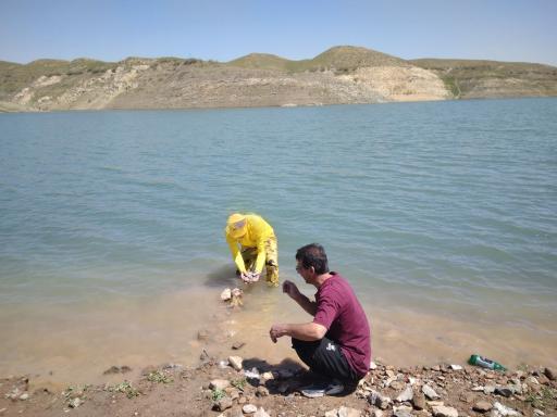 عکس دریاچه سد طرق
