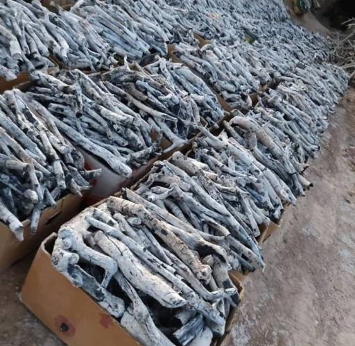 عکس پخش ذغال عربی 