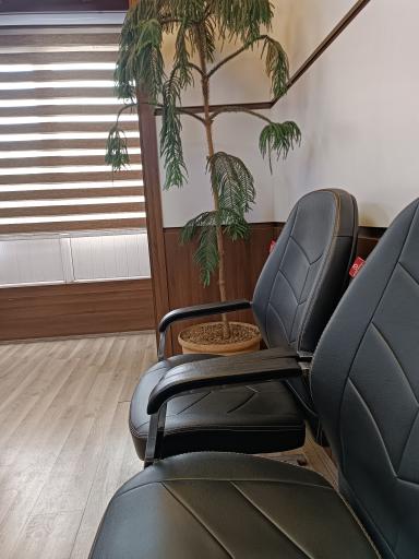 عکس موسسه زبان ایرانمهر