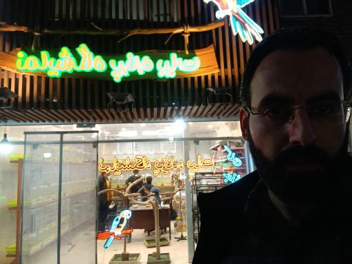 عکس نمایشگاه پرنده بیات