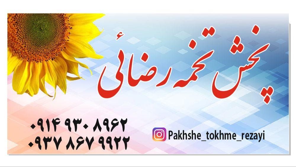 عکس پخش تخمه رضائی