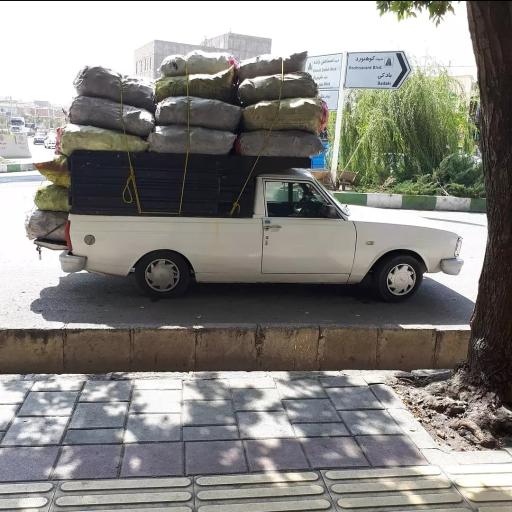 عکس پخش ذغال عربی 