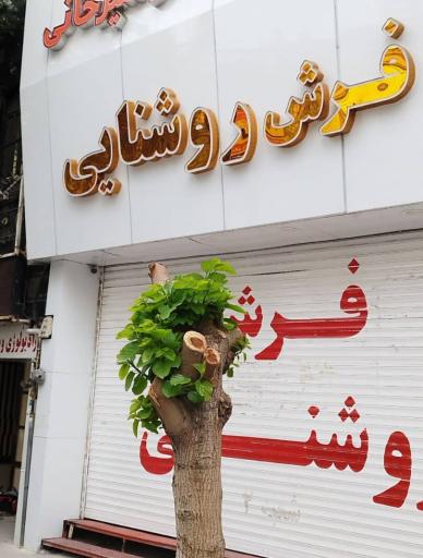 فروشگاه فرش روشنایی