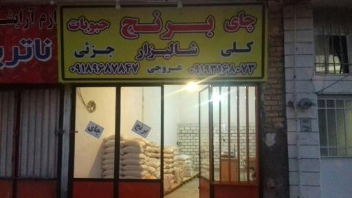 عکس برنج شالیزار عروجی