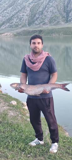 عکس سد و نیروگاه سیمره