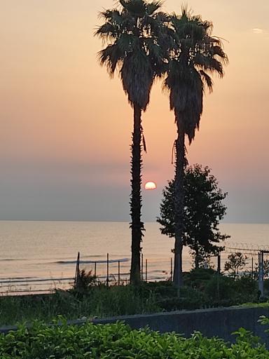 عکس ساحل خزر