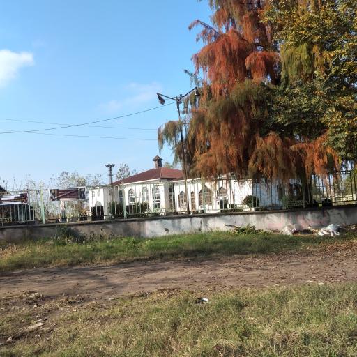 عکس آجی بوزایه