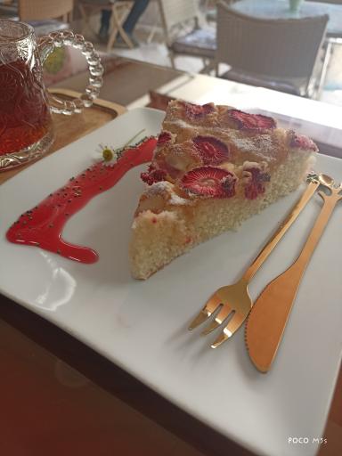 عکس خانه حجاب صدف