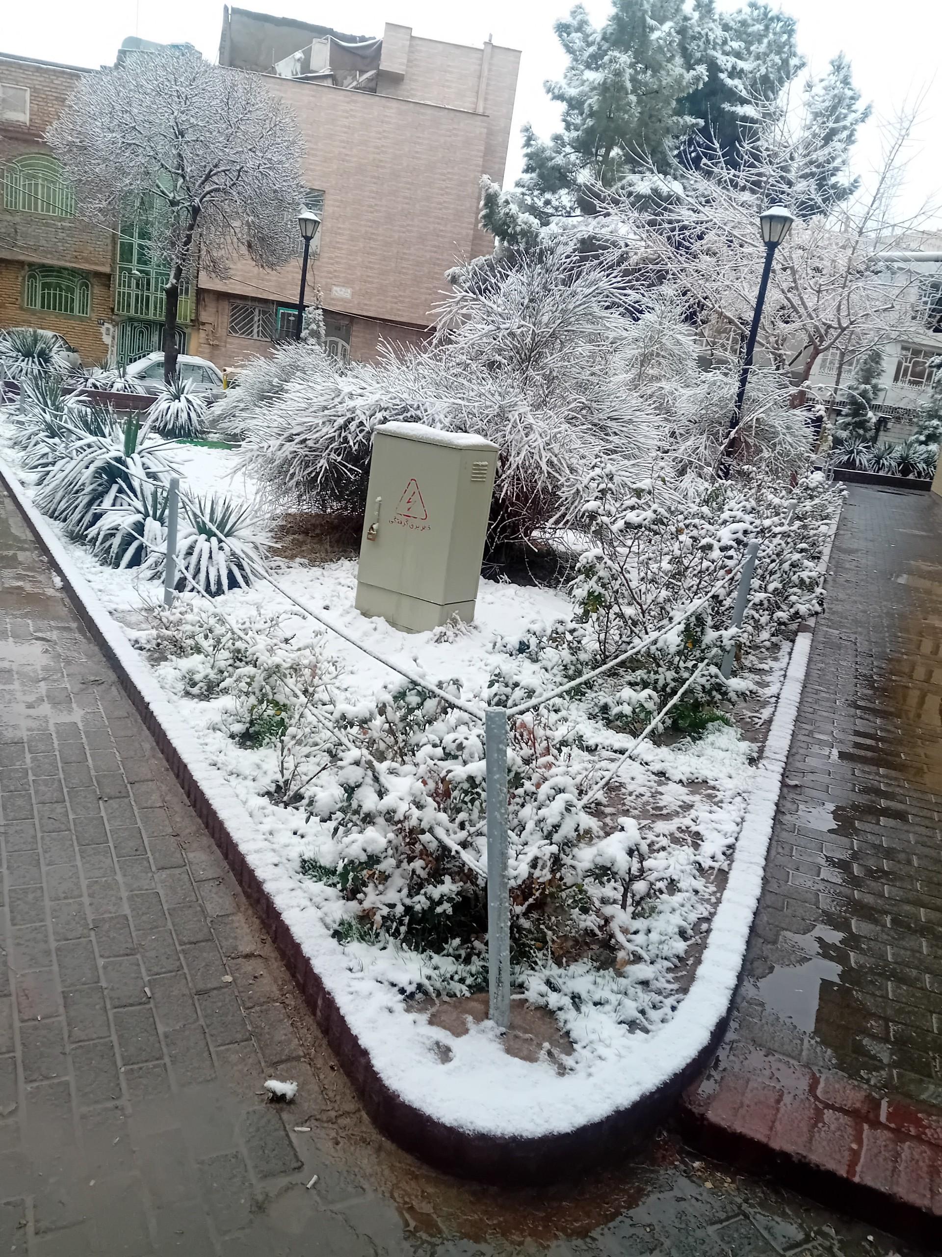 عکس پارک شهدای ده دی