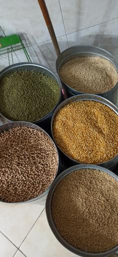 عکس خشکبار جلایر