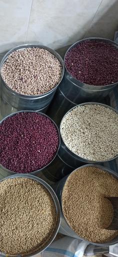 عکس خشکبار جلایر