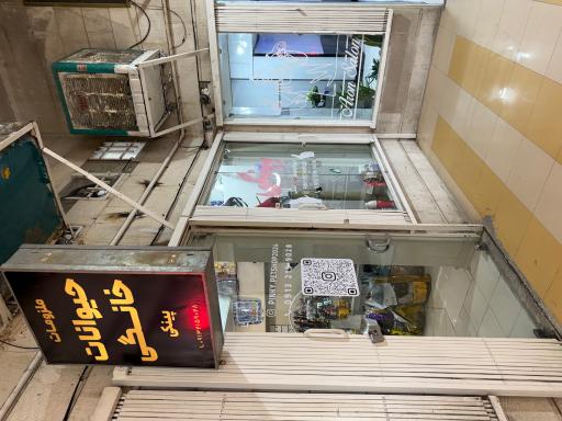 عکس پت شاپ پینکی