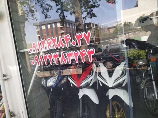 عکس پرند سیکلت