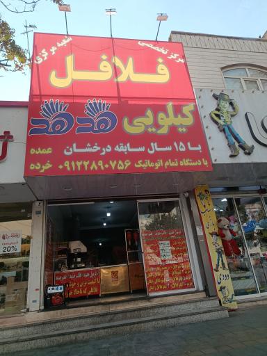 فلافل کیلویی هدهد