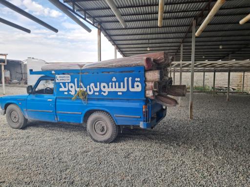 عکس قاایشویی جاوید