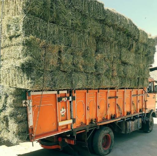 عکس خرید و فروش کاه و یونجه ناصر