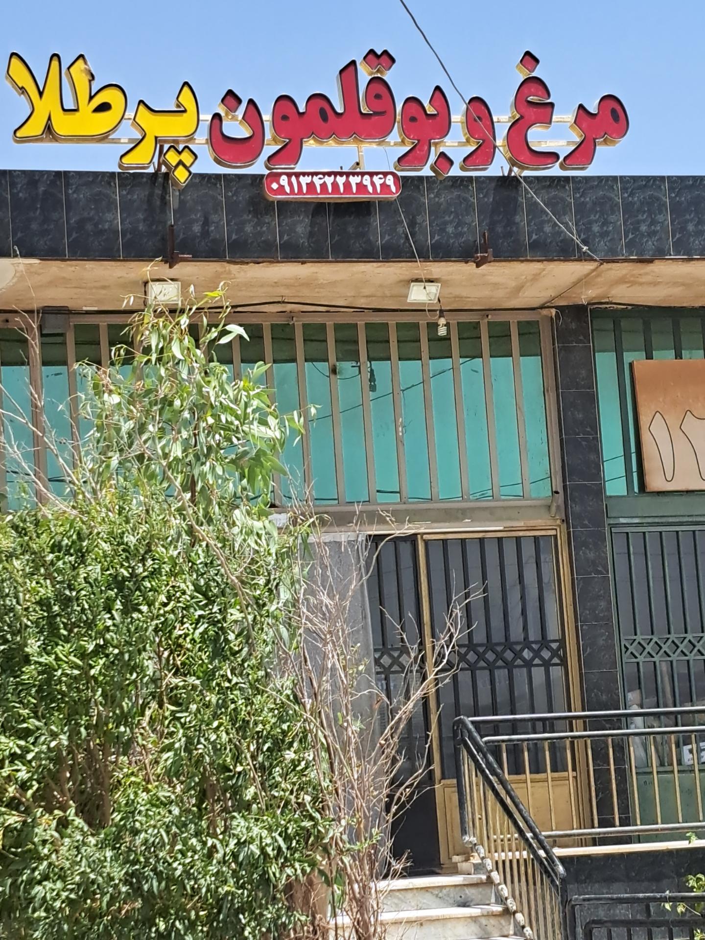 عکس مرغ و بوقلمون پر طلا