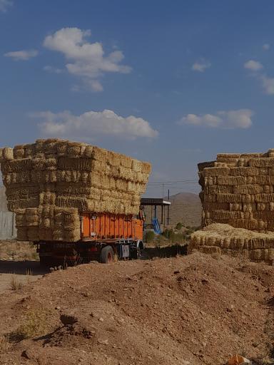عکس خرید و فروش کاه و یونجه ناصر