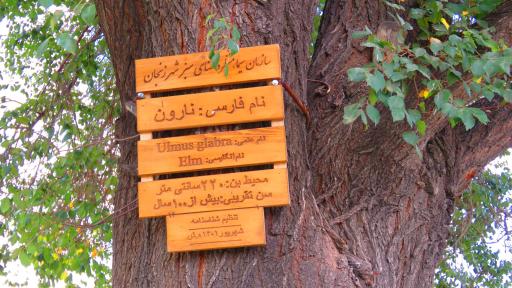 عکس پارک ذوالفقاری