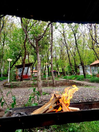 عکس چایخانه باغ گردو