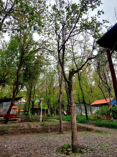 عکس چایخانه باغ گردو