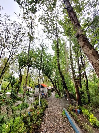 عکس چایخانه باغ گردو