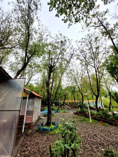 عکس چایخانه باغ گردو