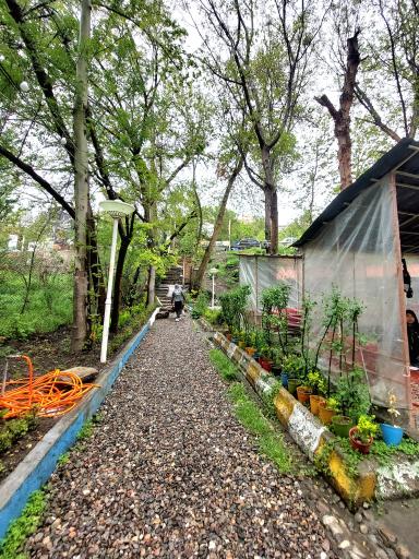 عکس چایخانه باغ گردو