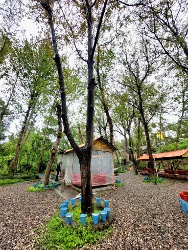 عکس چایخانه باغ گردو