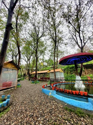 عکس چایخانه باغ گردو