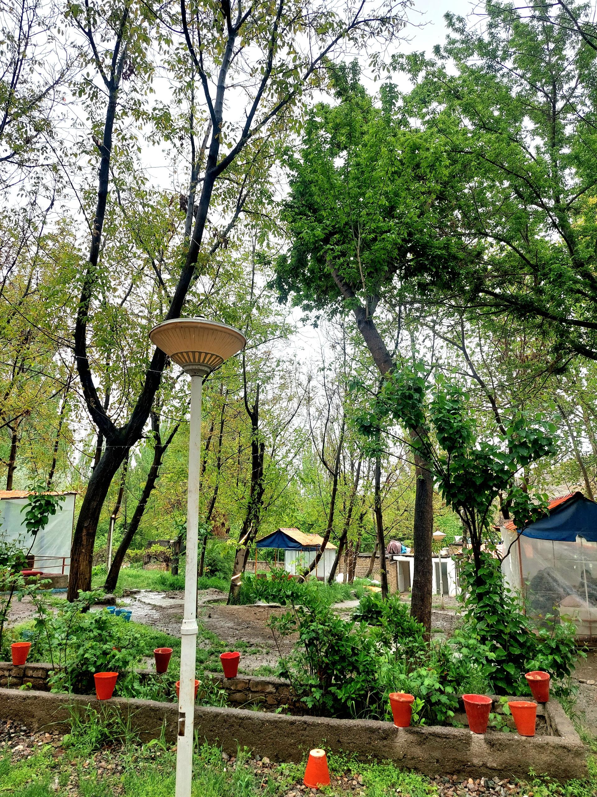 عکس چایخانه باغ گردو