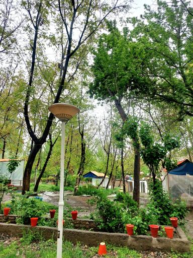 عکس چایخانه باغ گردو