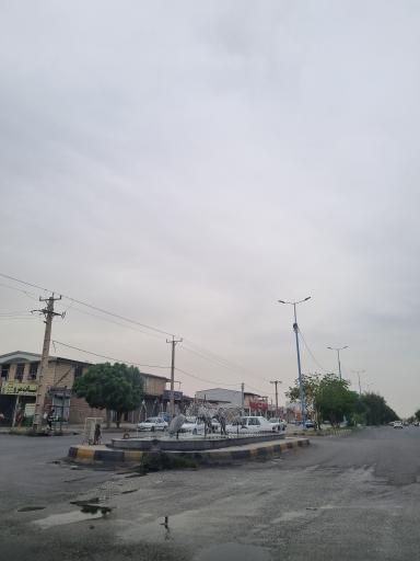 عکس میدان دلفین