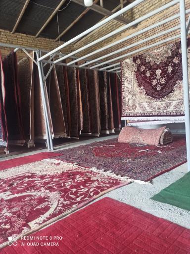 عکس قالیشویی یاقوت