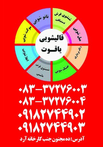 عکس قالیشویی یاقوت