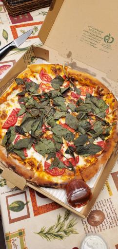 عکس پیتزا ایتالیایی ناصری