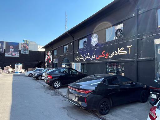 آکادمی بوکس مرتضی شیری