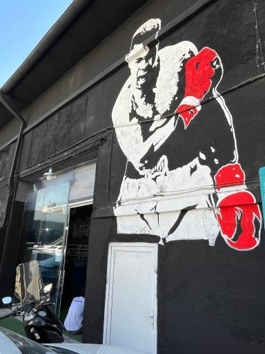 آکادمی بوکس مرتضی شیری