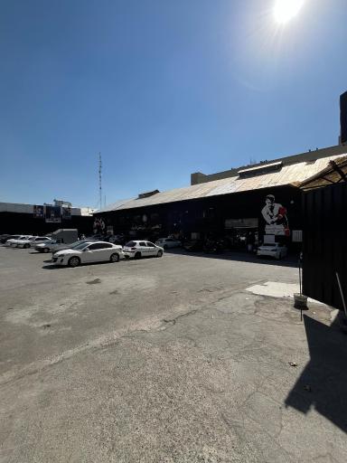 آکادمی بوکس مرتضی شیری