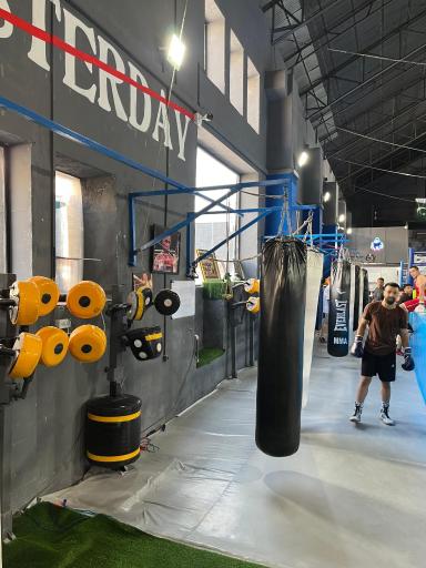 عکس آکادمی بوکس مرتضی شیری