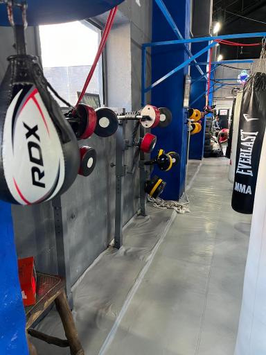 عکس آکادمی بوکس مرتضی شیری