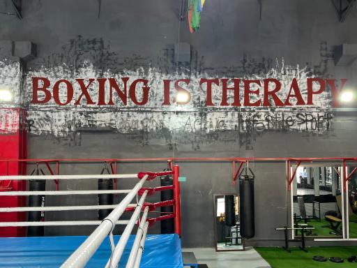 آکادمی بوکس مرتضی شیری