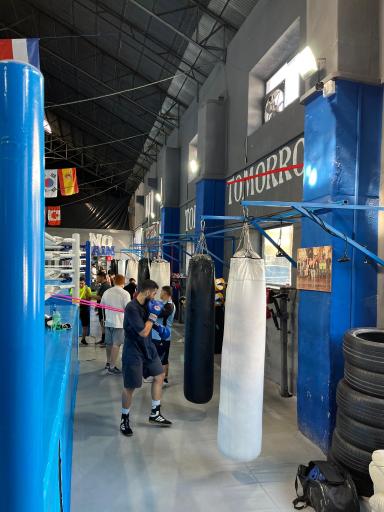 عکس آکادمی بوکس مرتضی شیری