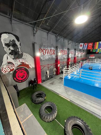 آکادمی بوکس مرتضی شیری