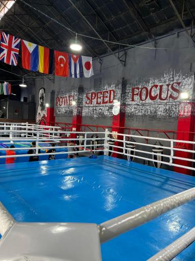 عکس آکادمی بوکس مرتضی شیری