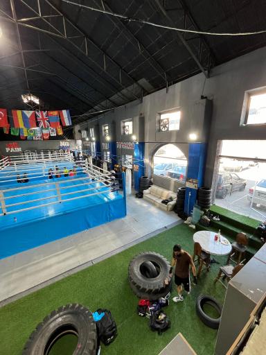 عکس آکادمی بوکس مرتضی شیری