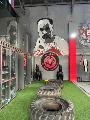 آکادمی بوکس مرتضی شیری