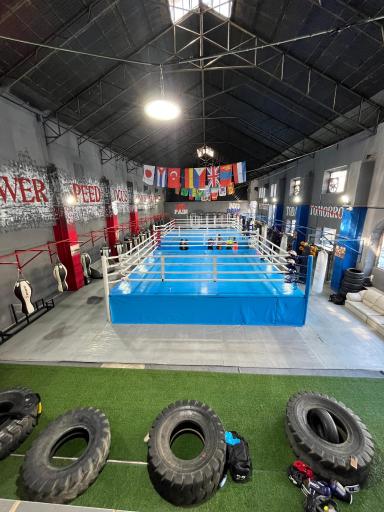 آکادمی بوکس مرتضی شیری