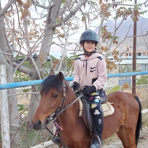 عکس باشگاه سوارکاری کمرد