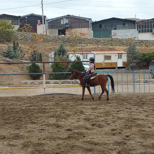 عکس باشگاه سوارکاری کمرد